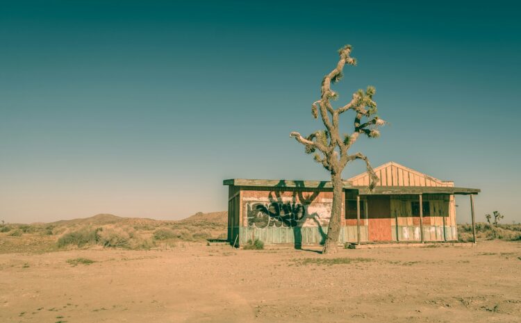 green and brown tree painting