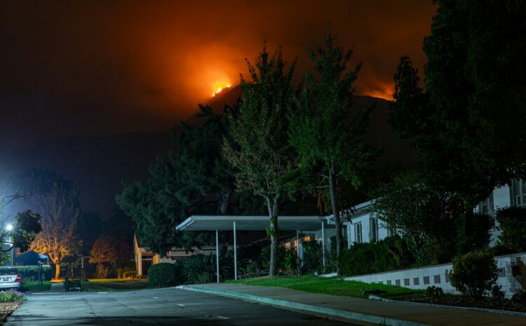 white and green house near green trees during night time